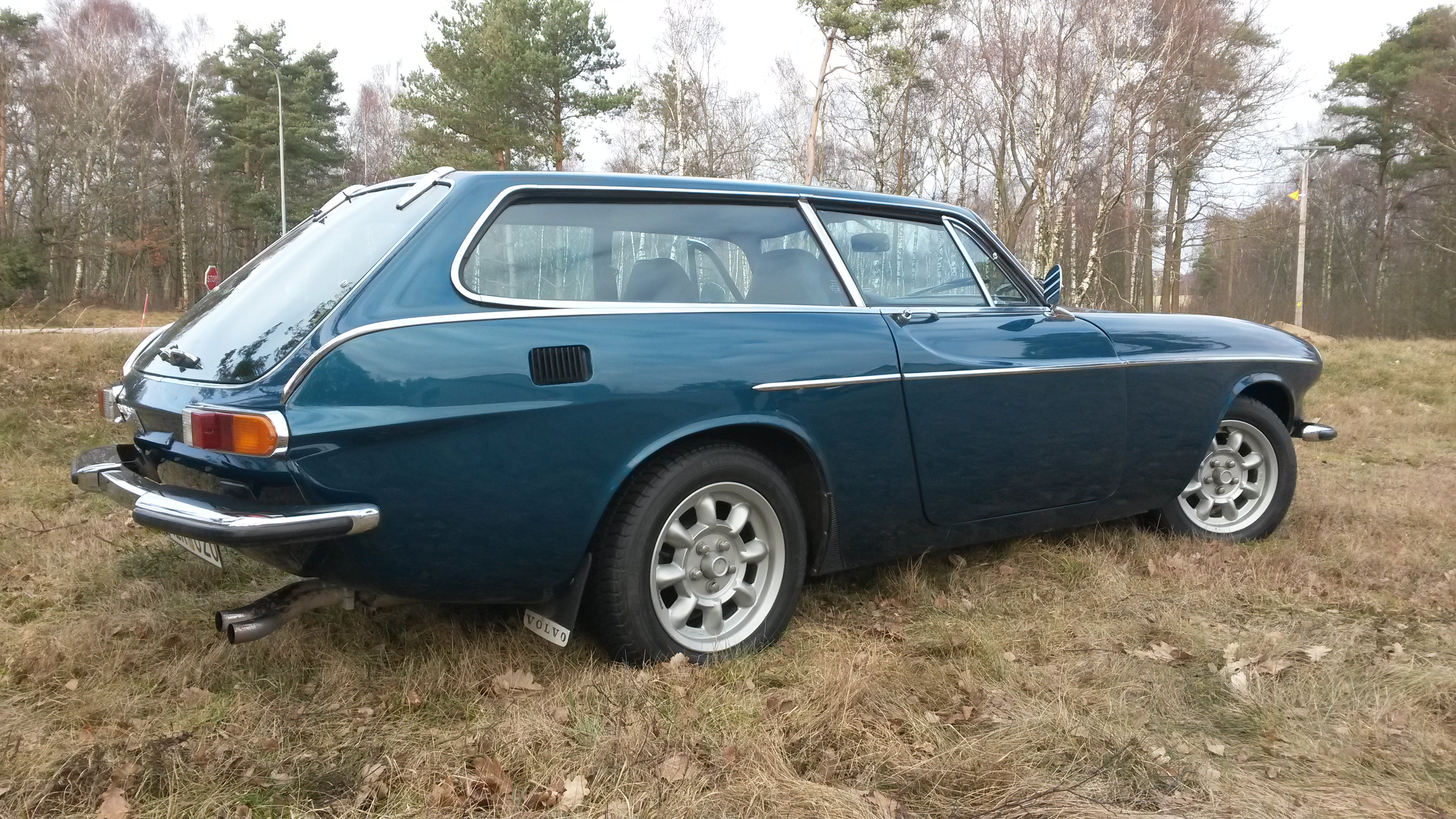 Volvo P1800 ES