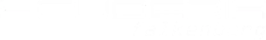 Scuderia falkenberg logo