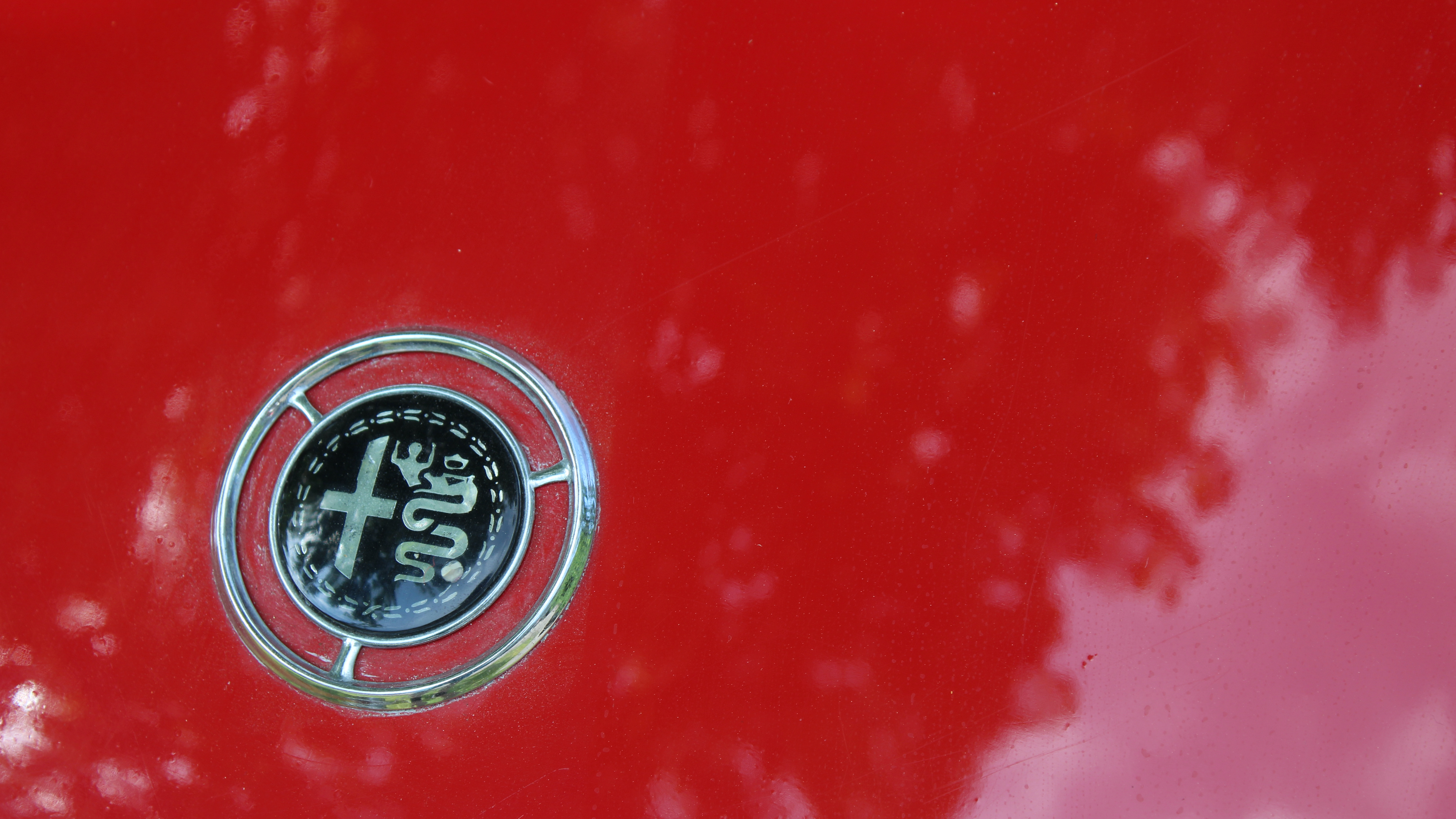 alfa ss detalj 2