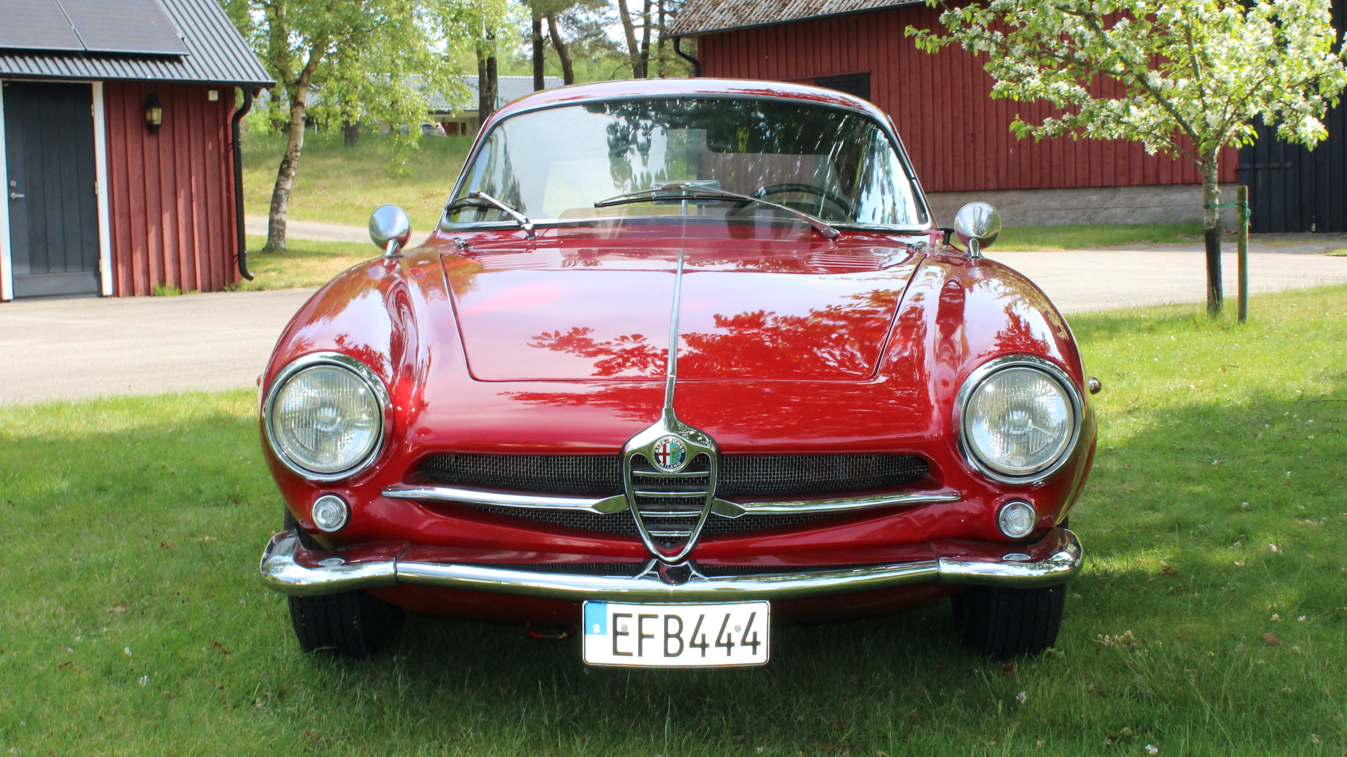 alfa ss framifrån